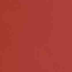 color 8 ARDENT BRICK