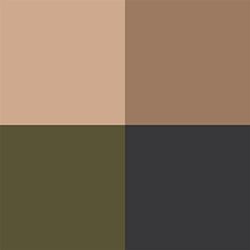 right content image