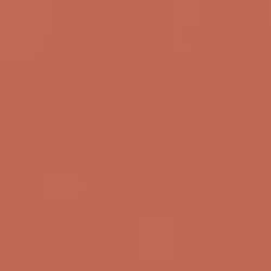 color 166 - TIMELESS BEIGE