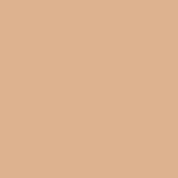color 2N NEUTRAL