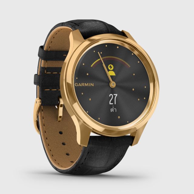 garmin vivomove gold