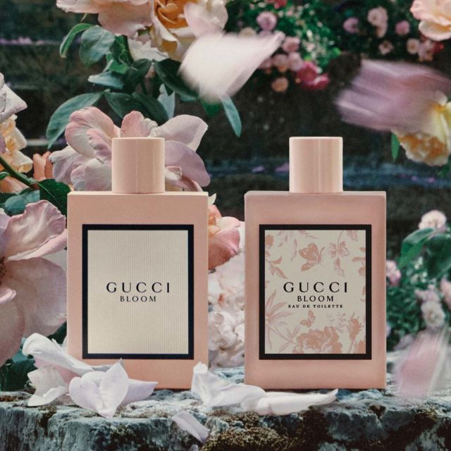 Gucci bloom eau de toilette 100 ml cheap