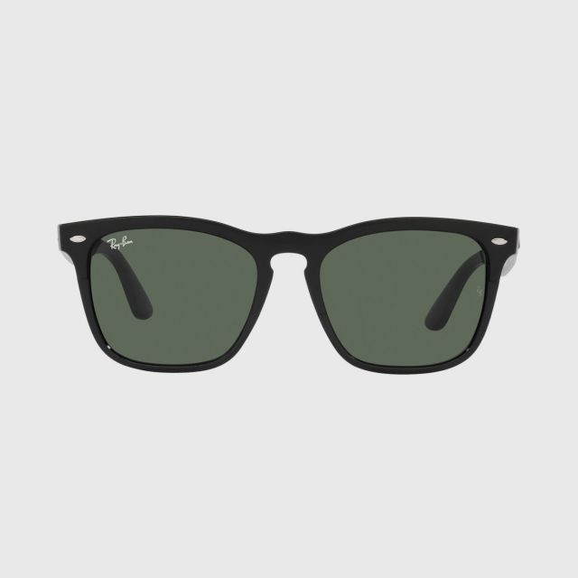 RAY-BAN Injected Black Dark Green Sunglasses - 54