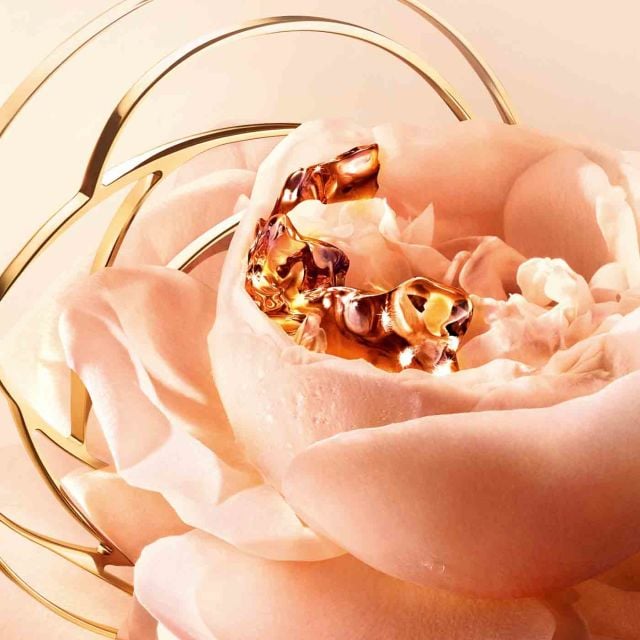 LANCÔME Absolue The Exceptional Youthful Collection Anti