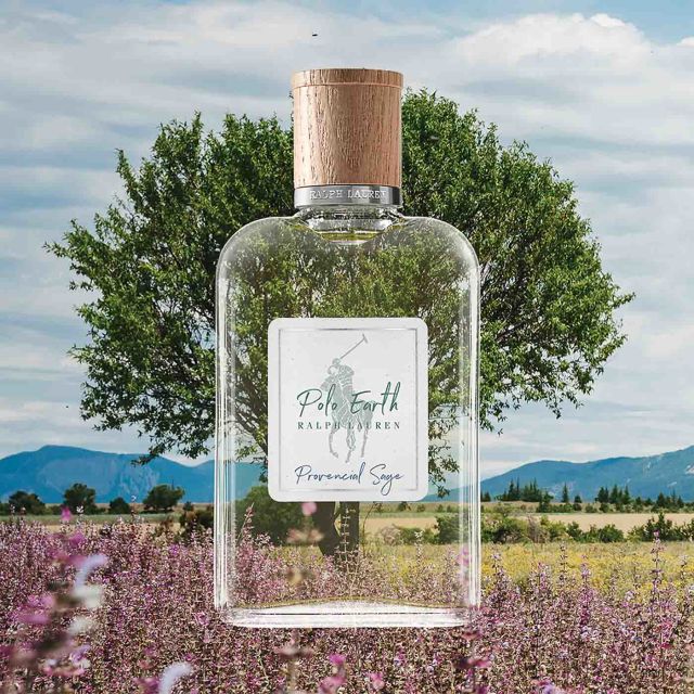 Ralph lauren sage perfume hotsell